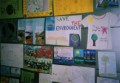 SAVE THE EARTH